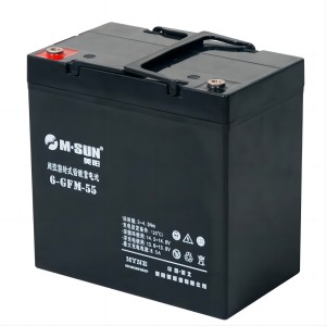 6-GFM-55